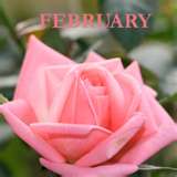 february.jpg